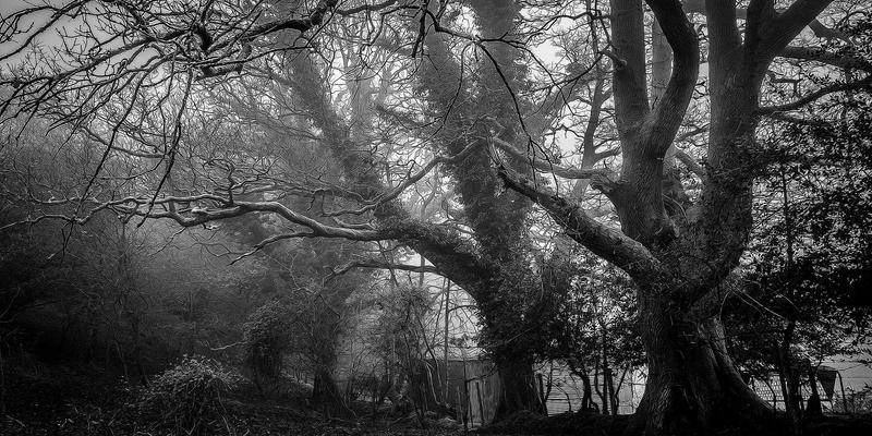 从Lululemon到始祖鸟：探索男士运动休闲风的禅意设计与机能平衡