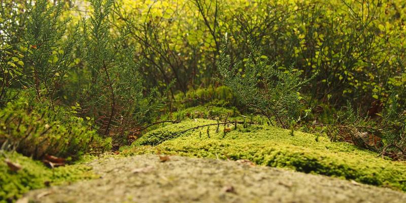 复古工装风回潮：如何将Carhartt、Levi's经典单品穿出当代日式风格