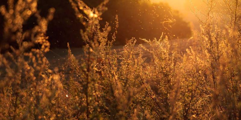 日式风格男性穿搭指南：从侘寂美学到都市通勤的时尚哲学