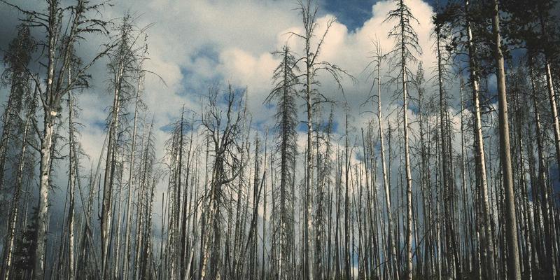 男士小众设计师品牌指南：5个独特选择提升衣橱质感与穿搭风格