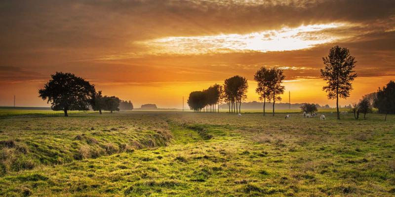 男士羊绒大衣终极指南：如何挑选与保养一件可以穿十年的经典单品