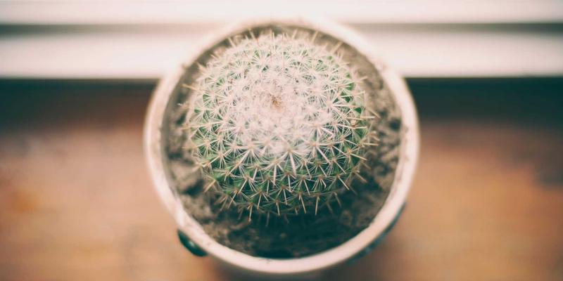 男性时尚100：从穿搭指南到生活美学，打造纯粹日式风格