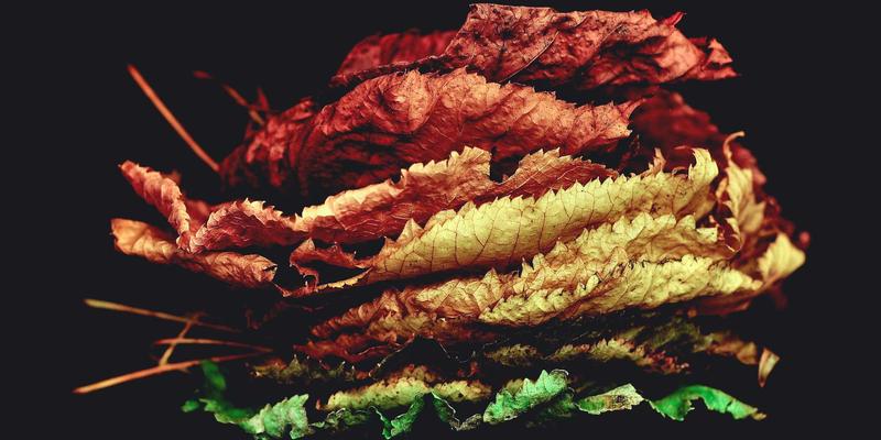 男性时尚40+：从生活用品、护理到穿搭的全面升级指南