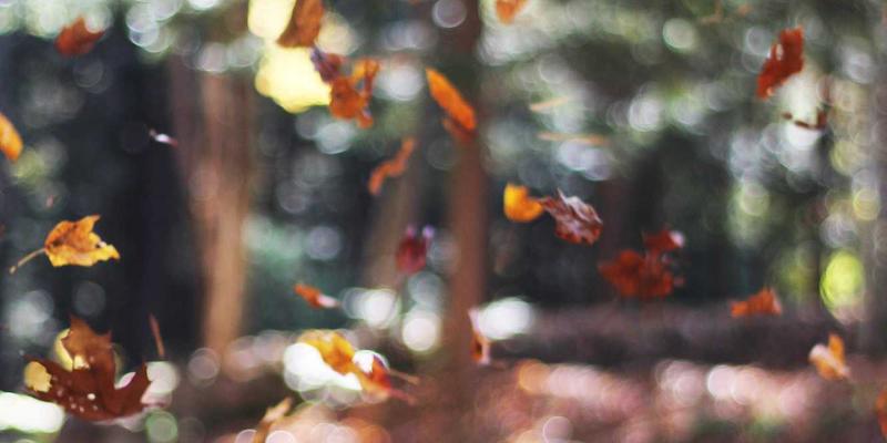 男性时尚56：从穿搭指南到生活用品，打造全方位精致男士形象