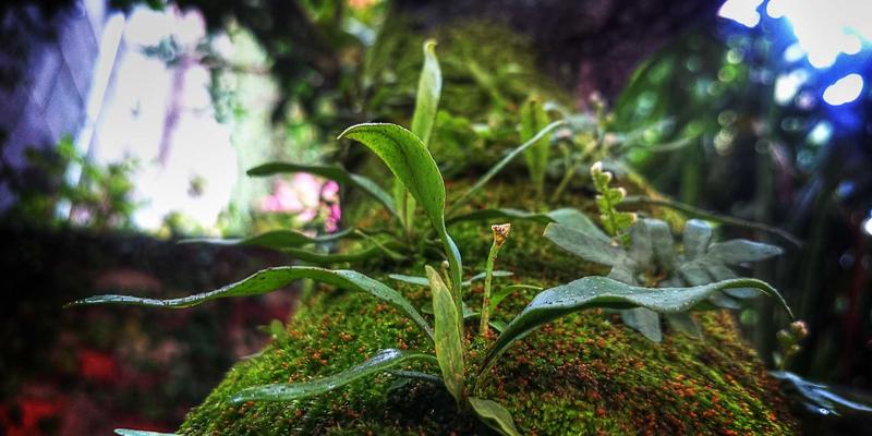 男性时尚65：禅意设计如何重塑你的穿搭与生活美学