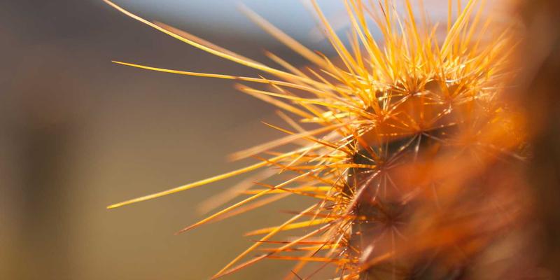 男性时尚67：解锁日式风格精髓与进阶护理指南