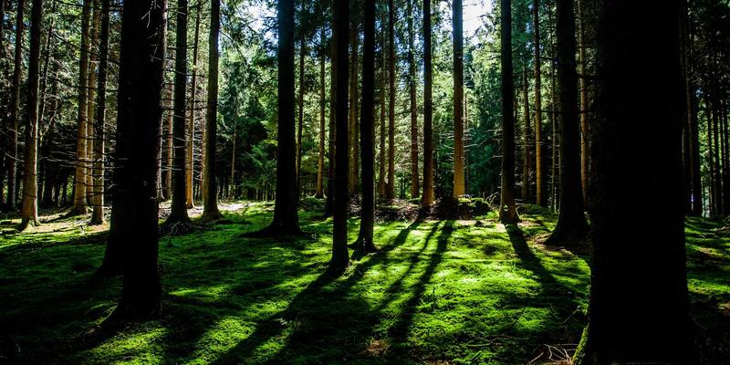 男性时尚78：日式风格穿搭指南，打造简约高级的日常造型
