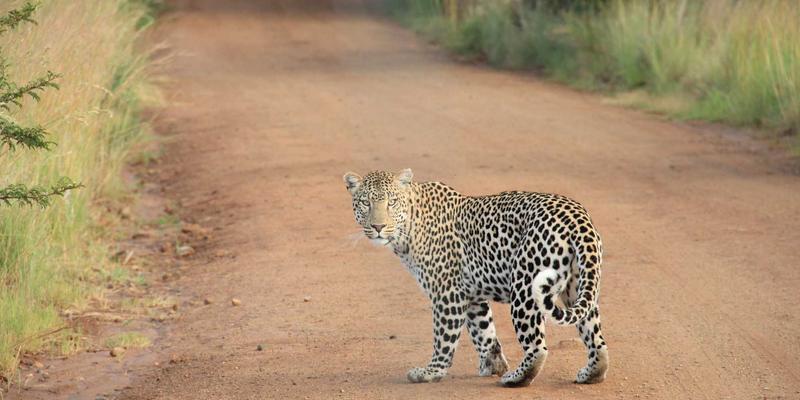 男性时尚新境界：禅意设计与日式风格的东方美学重塑