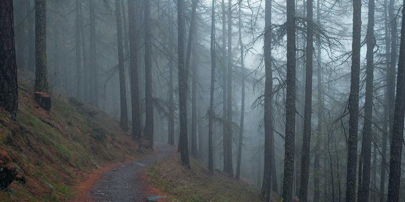 男性时尚进阶：从基础穿搭到精致护理的完整指南