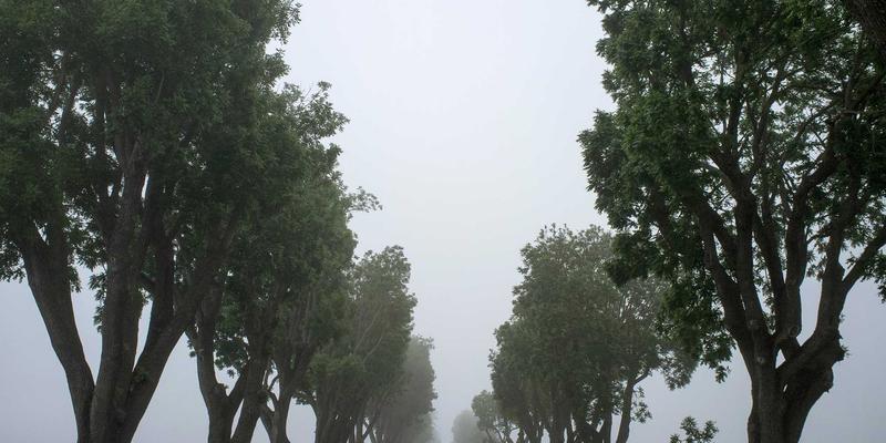 禅意设计：重塑男士用品与男性护理的现代美学