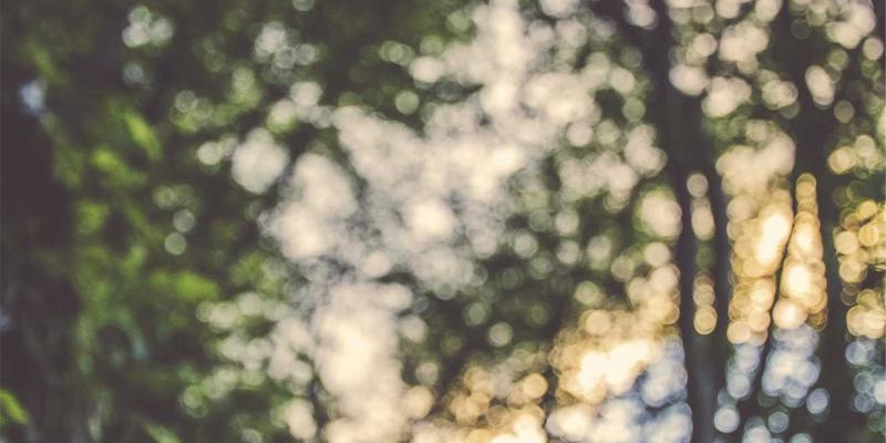 轻熟男职场进阶穿搭：掌握日式风格与男性护理，完成从校园到办公室的形象转型